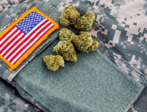 Cannabis Access for Veterans: Health, Dignity, and Justice | stupidDOPE