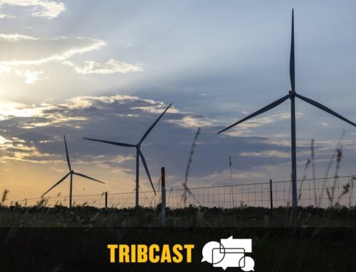 TribCast: Will the Texas renewable energy powerhouse survive?