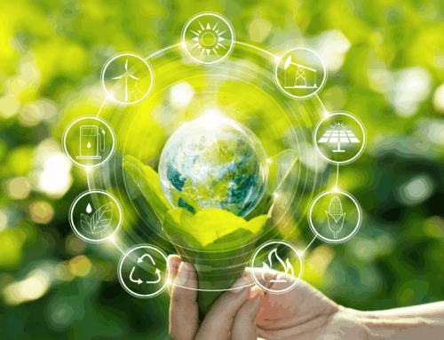 PwC Study Highlights Risks in Central Asia’s Push for Green Energy