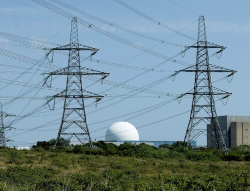 Nuclear projects seen slowing after record 2024 output, report says