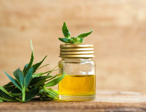 Cannabis Stocks Surge After Trump Endorses Cannabidiol for Seniors