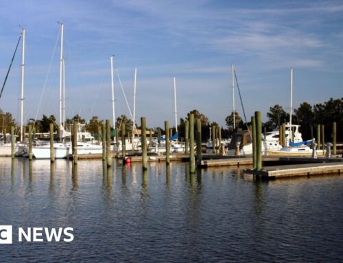 Three dead and several injured after shooting at US waterfront bar