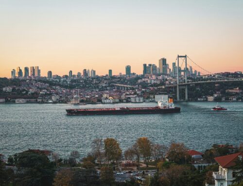 Turkey in the changing transatlantic trade environment