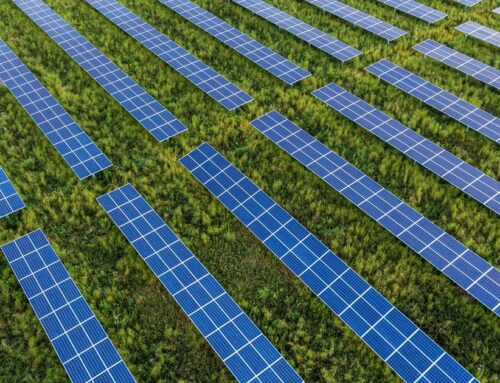 Mars: Committed to Renewables Across Manufacturing