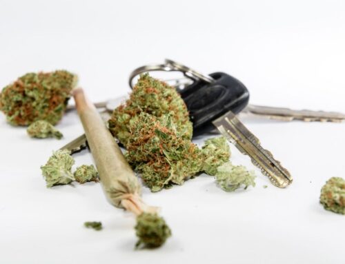 Cannabis and Driving: New Study Examines Residual Effects on Performance