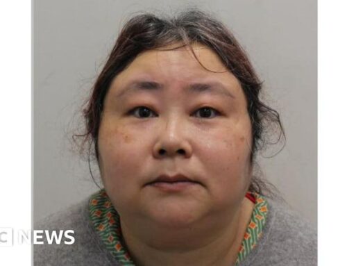 Chinese woman convicted in UK over £5.5bn bitcoin scam