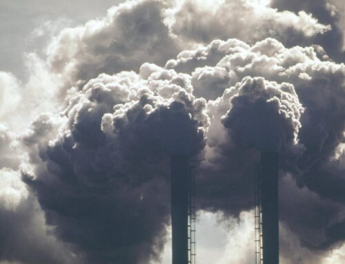 Trump’s Energy Department forbids staff from saying ‘climate change’ or ‘green’