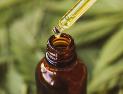 Why Are Cannabis Stocks Up Today?