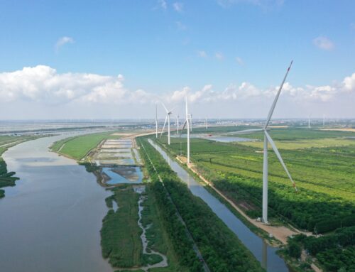 European Environment Report 2025: Positive trends, but overall condition “not good”