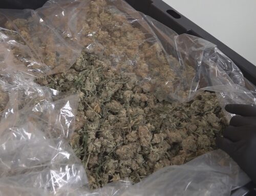 State lawmakers to consider expanding medical marijuana access for thousands of Georgians