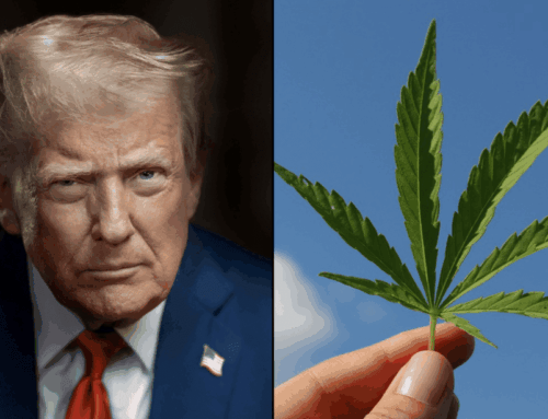 Trump Posts Video On Medical Benefits Of Cannabis For Seniors As White House Weighs Resche