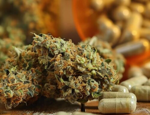 Cannabis isn’t the cure for chronic pain
