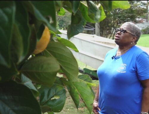 Conyers residents still concerned about health, environment one year after chemical fire