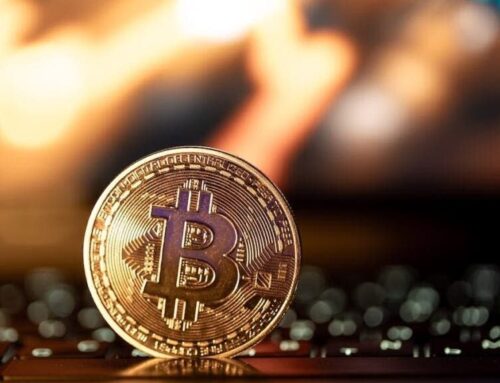 Bitcoin At $113,000 Waiting For ‘Final Rotiation’ As Analyst Forcasts One Last Dominance P