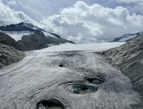 Environment: Snow melts more quickly in forests that have been burned