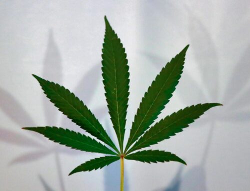 Feds publish new cannabis banking info (Newsletter: September 23, 2025)