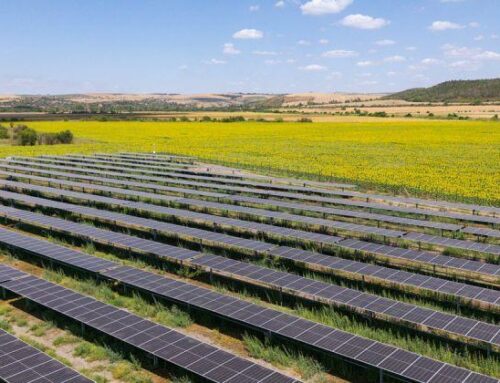 Teva’s Journey to 100% Renewable Electricity: Bold Targets