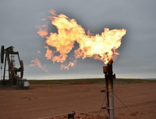 Why Do Big Oil Companies Invest in Green Energy?