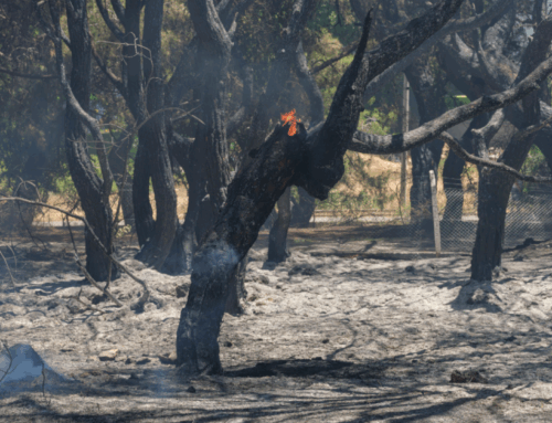 Report says European way of life threatened by environmental degradation