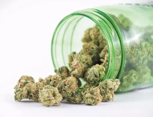 Washington launches training on health risks surrounding high-potency cannabis products