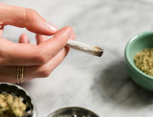 Cannabis May Disrupt Female Fertility, Fuel Chromosome Errors