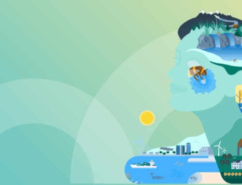 State of Europe’s environment not good: threats to nature and impacts of climate change to