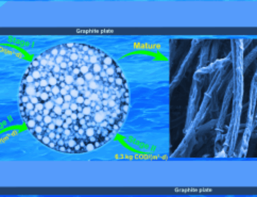 Response of aerobic granular sludge to organic loading rate under micro-electric stimulati