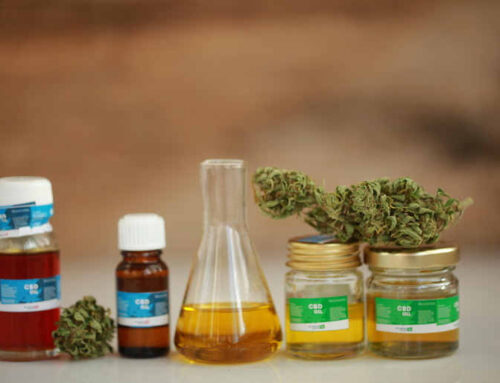 Is THCa Legal? Where Beer Lovers Can Buy Legal THCa Flower Online