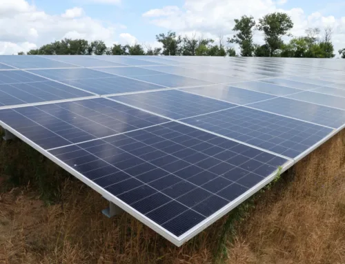 India Pushes States To Buy More Clean Power Amid Renewable Surplus