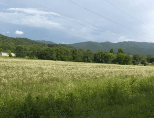 Proposed Bitcoin mining moratorium fails before Johnson County Commission