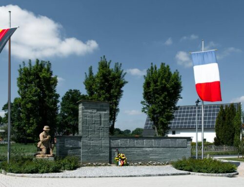 Solar leads EU electricity generation as renewables hit 54%