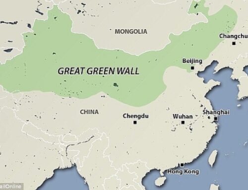 The Environmental Pulse in China