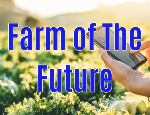 Farmland Vs Bitcoin – AG INFORMATION NETWORK OF THE WEST
