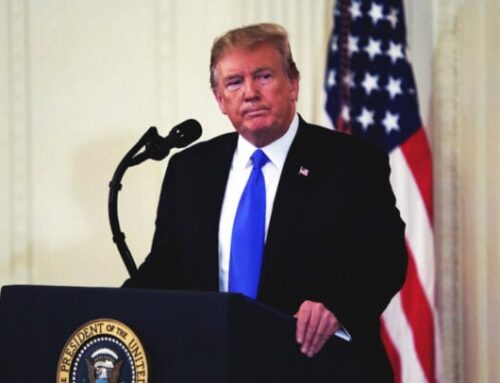 Cannabis Stocks Jump as Trump Endorses Cannabidiol for Elderly Care