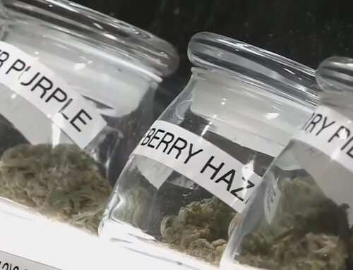 Bay Area cannabis business feeling relief as Gov. Newsom rolls back tax hike
