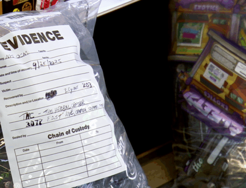 WATCH: State and local authorities shut down illegal weed shop