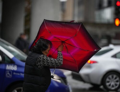 Environment Canada warns of high winds, power outages, snowfall on B.C. highways