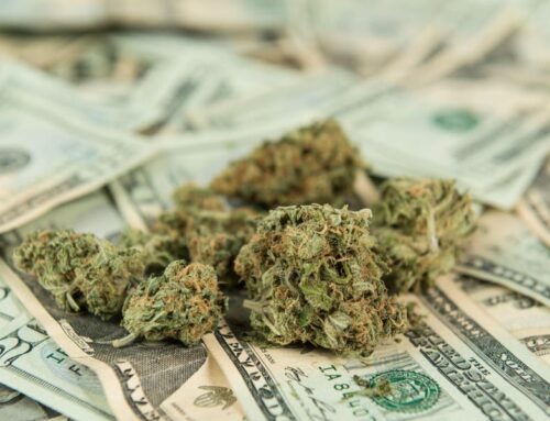 Michigan Cannabis Operators Protest Steep New Tax On Weed