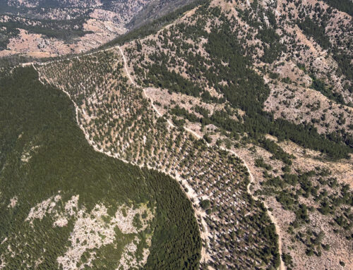 Fix Our Forests Act divides environmental community