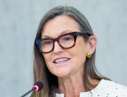 Ark Invest CEO Cathie Wood flags AI market correction risk: ‘We think there will be a real