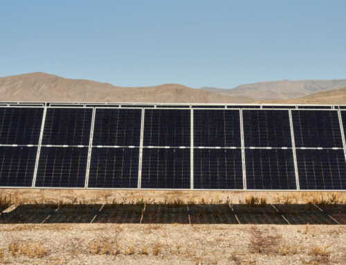 Trump Moves to Cancel Esmeralda 7, a Giant Solar Project