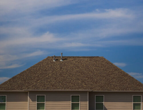 Solar for All Program Cuts Hit G.O.P and Democrat Voters Alike
