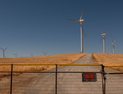 IEA Cuts US Renewable Growth Forecast in Half on Trump Policies