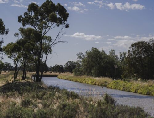 Australia Proposes Environment Law Overhaul to Speed Up Projects