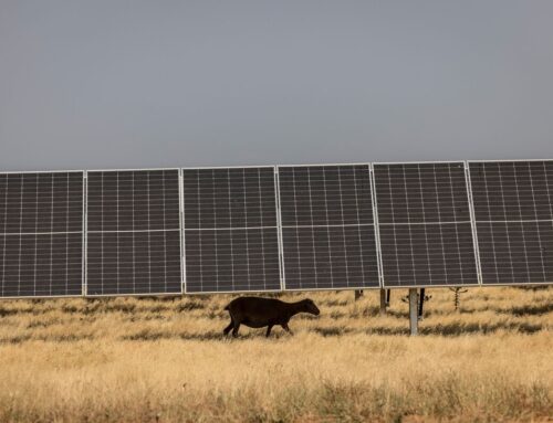 Spain’s Renewable-Energy Boom Loosens Gas’s Grip on Power Prices