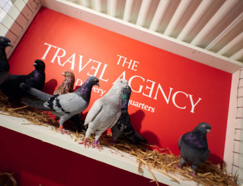 New York-based The Travel Agency launches cannabis carrier pigeon delivery