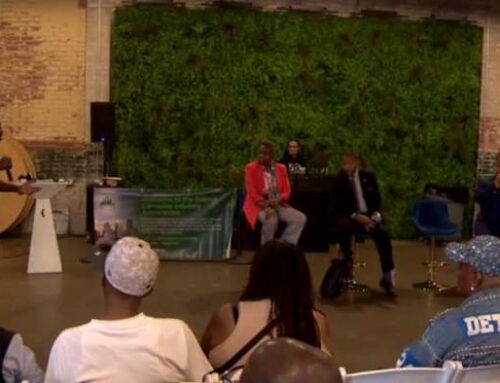 From bud to bust? Detroit marijuana shops warn new 24% wholesale tax could kill industry