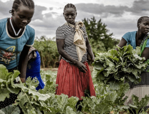 Can refrigerated vans and cold storage rooms help end food loss in Africa?
