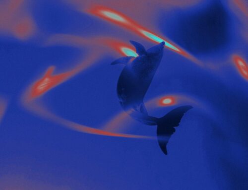 Ethereum ICO participant moves $6 million in ETH after 8-year dormancy: onchain data