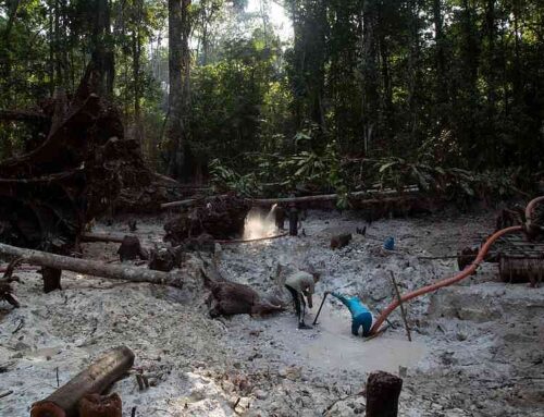 Environmental crime effort yields 225 arrests